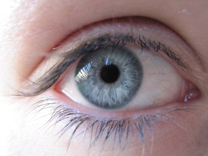 A typical Summer eye.